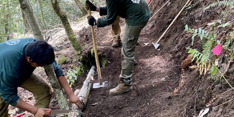 Neighborhood Ecology Corps – RaleighNC.gov