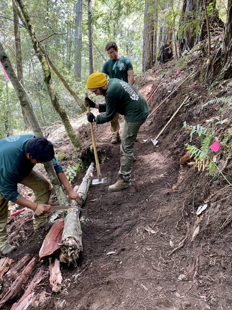 Neighborhood Ecology Corps – RaleighNC.gov