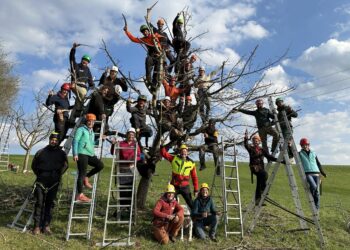 Tim and Anita Schoen Endow Sport Psychology Program Director Position – Notre Dame Athletics