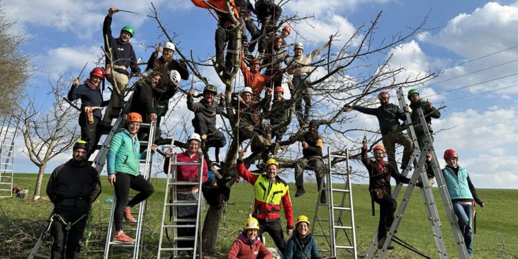 Tim and Anita Schoen Endow Sport Psychology Program Director Position – Notre Dame Athletics