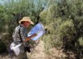 We Asked an Entomologist to Fact-Check the Science of ‘Alien: Earth’ – Esquire