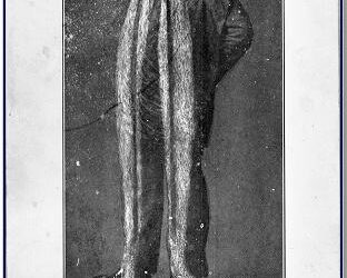 Alabama man earns world record for 3-foot, 6-inch beard locks – upi.com