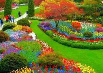 A love letter to the garden – The Inquirer and Mirror