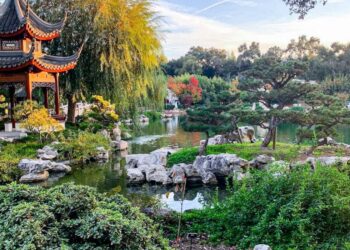 Roam The Huntington after dark at an atmospheric ‘Strange Science’ night – NBC Los Angeles