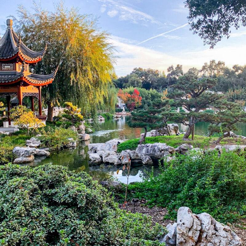 Roam The Huntington after dark at an atmospheric ‘Strange Science’ night – NBC Los Angeles