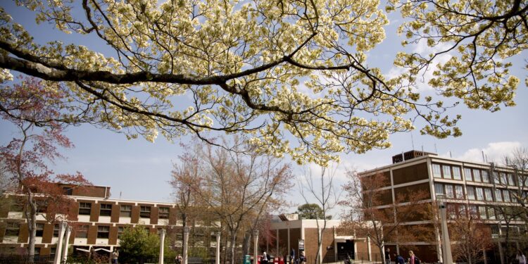 Science Hill blanks Morristown East – Johnson City Press