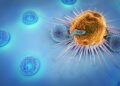 Scientists just cracked the mystery of why cancer immunotherapy fails – ScienceDaily