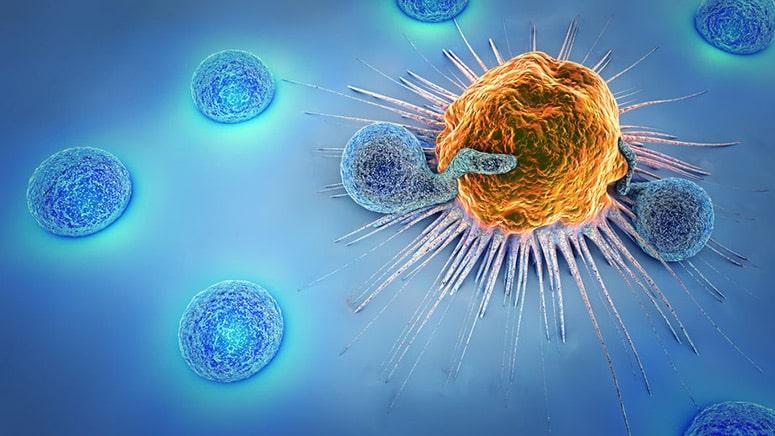 Scientists just cracked the mystery of why cancer immunotherapy fails – ScienceDaily