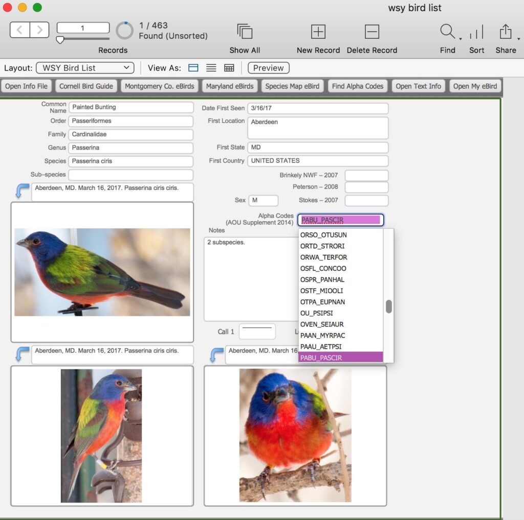 Explore a bird database with 11,500 species – Popular Science