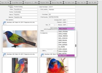 Explore a bird database with 11,500 species – Popular Science