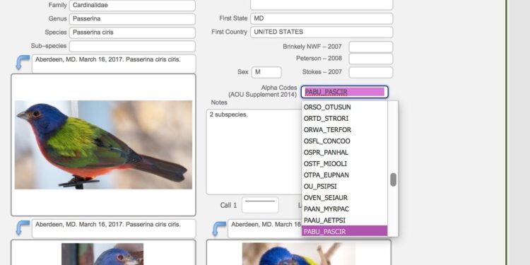 Explore a bird database with 11,500 species – Popular Science