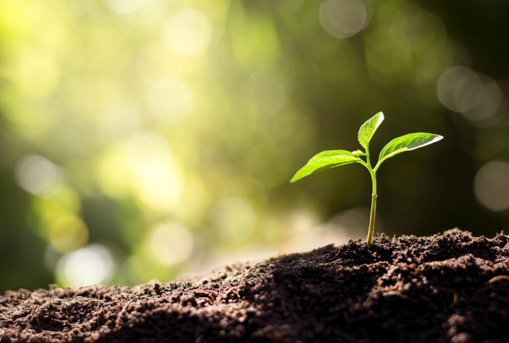 Ecology blazing the trail for more clean energy projects – Washington State Department of Ecology (.gov)