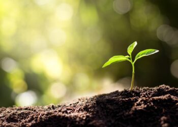 Ecology blazing the trail for more clean energy projects – Washington State Department of Ecology (.gov)