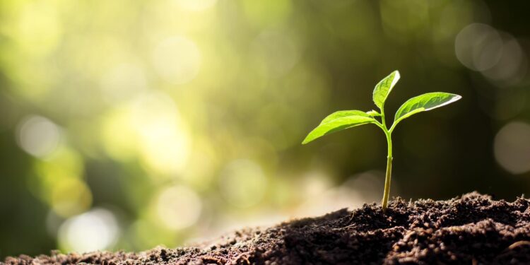 Ecology blazing the trail for more clean energy projects – Washington State Department of Ecology (.gov)
