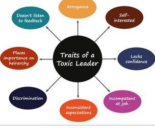 Video: Owner Lists Shih Tzu’s ‘Toxic Traits’ & Internet Can’t Relate to It Enough – Yahoo