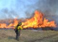 Increasing global human exposure to wildland fires despite declining burned area – Science | AAAS