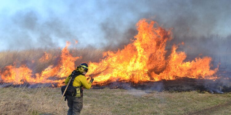 Increasing global human exposure to wildland fires despite declining burned area – Science | AAAS