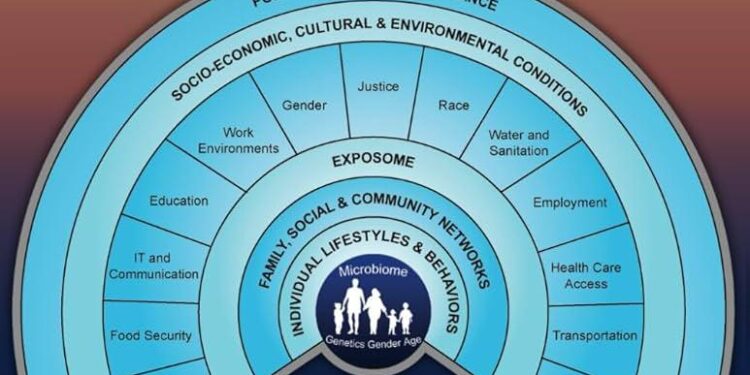 Ecological and hydroclimatic determinants of vegetation water-use strategies – Nature