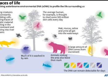 Tracking DNA and RNA Together To Unlock Disease Insights – Technology Networks