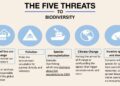 Biodiversity Impact of Fruit and Veg Consumption Varies – Bioengineer.org