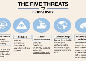 Biodiversity Impact of Fruit and Veg Consumption Varies – Bioengineer.org