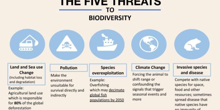 Biodiversity Impact of Fruit and Veg Consumption Varies – Bioengineer.org