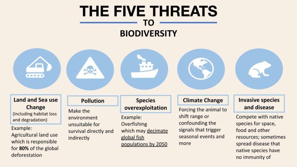 Biodiversity Impact of Fruit and Veg Consumption Varies – Bioengineer.org