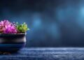 From Iceland to Cape Verde: The 5 smallest countries ever to reach the World Cup – ABC News – Breaking News, Latest News and Videos