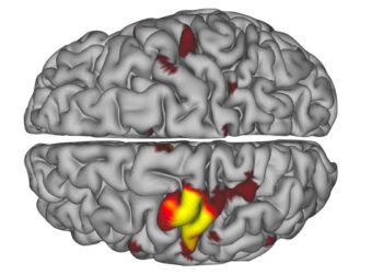Scientists find the brain’s hidden pulse that may predict Alzheimer’s – ScienceDaily