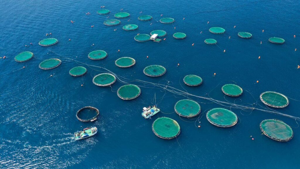 The $2.5 trillion ocean economy is at a crossroads. Capital must act now – Fortune
