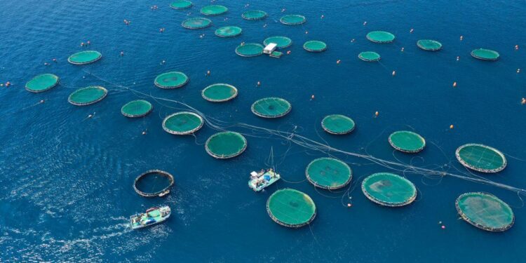 The $2.5 trillion ocean economy is at a crossroads. Capital must act now – Fortune