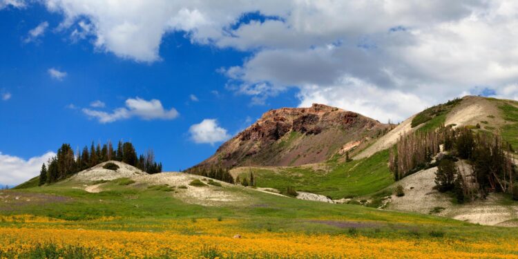 Iron County nonprofit connects public to health experts – Upper Michigan’s Source