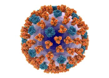 Respiratory syncytial virus (RSV) tied to heart problems – Harvard Health