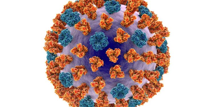 Respiratory syncytial virus (RSV) tied to heart problems – Harvard Health