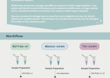 Guide to Proteomics Project Planning: Sample Preparation Strategies – Technology Networks
