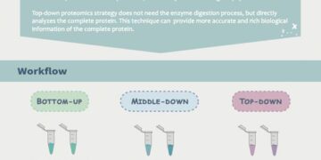 Guide to Proteomics Project Planning: Sample Preparation Strategies – Technology Networks