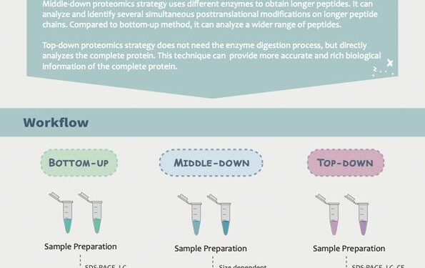 Guide to Proteomics Project Planning: Sample Preparation Strategies – Technology Networks