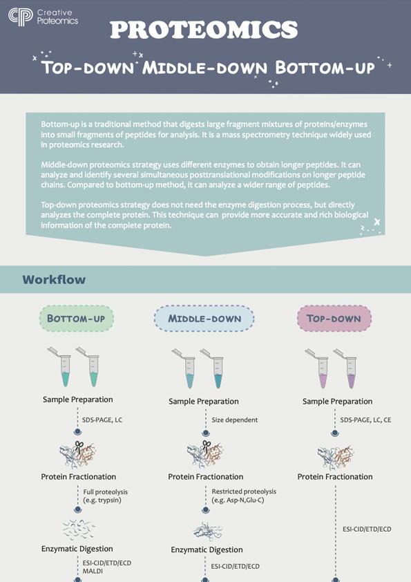 Guide to Proteomics Project Planning: Sample Preparation Strategies – Technology Networks