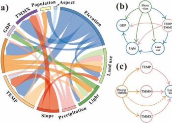 Advancing causal inference in ecology: Pathways for biodiversity change detection and attribution – besjournals