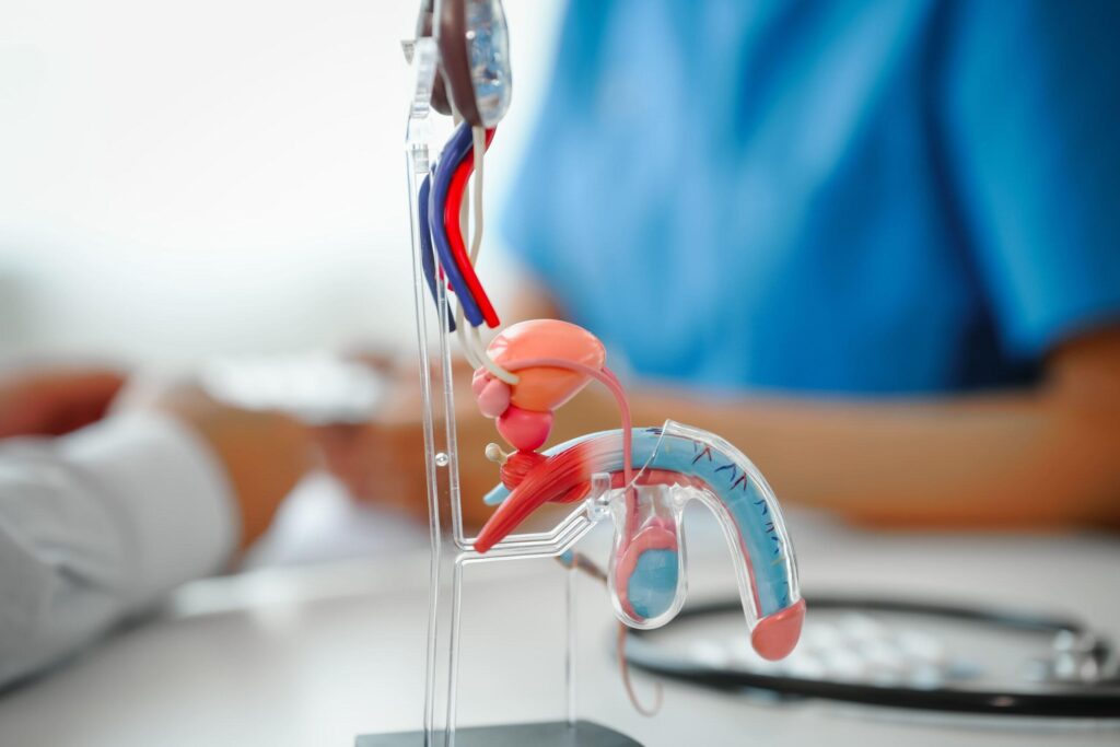 Study suggests earlier start of hormone therapy optimizes long-term health outcomes – News-Medical