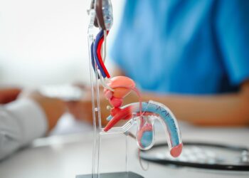 Study suggests earlier start of hormone therapy optimizes long-term health outcomes – News-Medical