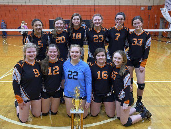 Science Hill, South Greene volleyball win TSSAA state tournament openers – WCYB