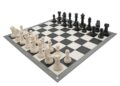 Grandmaster Daniel Naroditsky remembered for his impact on the chess world – NPR