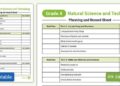 New technology for grading and packing dates – FreshPlaza