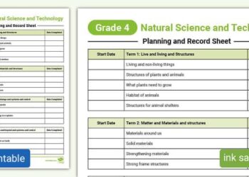 New technology for grading and packing dates – FreshPlaza