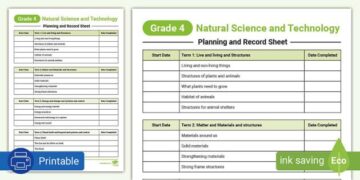 New technology for grading and packing dates – FreshPlaza