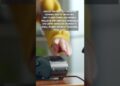 Ghost Tapping is exploiting tap-to-pay technology in order to steal your money; what your need to know – ABC7 New York