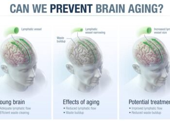 Scientists reversed brain aging and memory loss in mice – Science Daily
