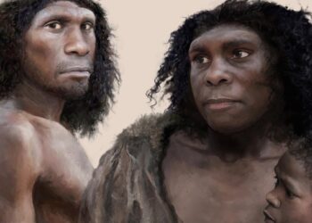 Neanderthals could be brought back within 20 years — but is it a good idea? – Live Science