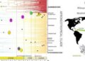 Rapid radiations underlie most of the known diversity of life – Frontiers